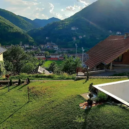 Lazovic Ivanjica