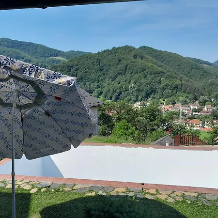 Lazovic Ivanjica