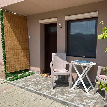 Apartment Lazovic